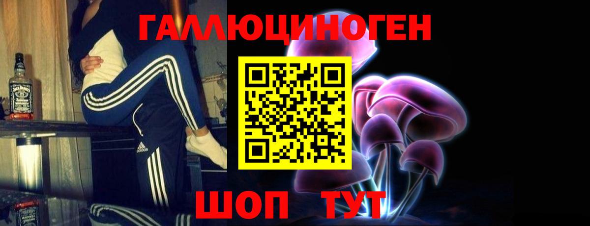 Вязники  Псилоцибиновые грибы MAGIC MUSHROOMS  Галлюциногенные грибы MAGIC MUSHROOMS  Вход с VPN 