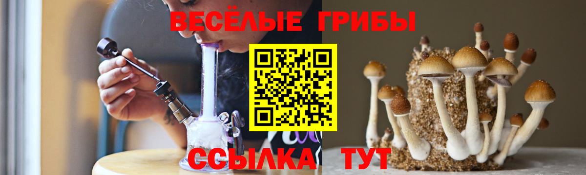 Галлюциногенные грибы мицелий Вязники